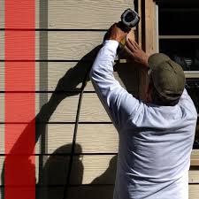 Best Historical Building Siding Restoration  in Vienna, VA